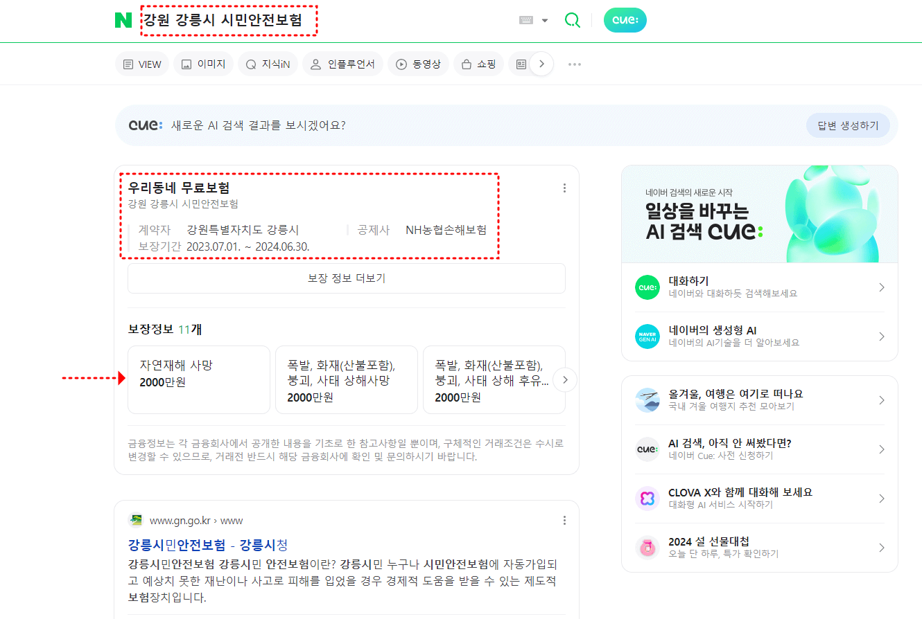 시민안전보험 일상생활보험 01