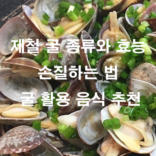 제철 굴 종류와 효능 손질하는 법 굴 활용 음식 추천
