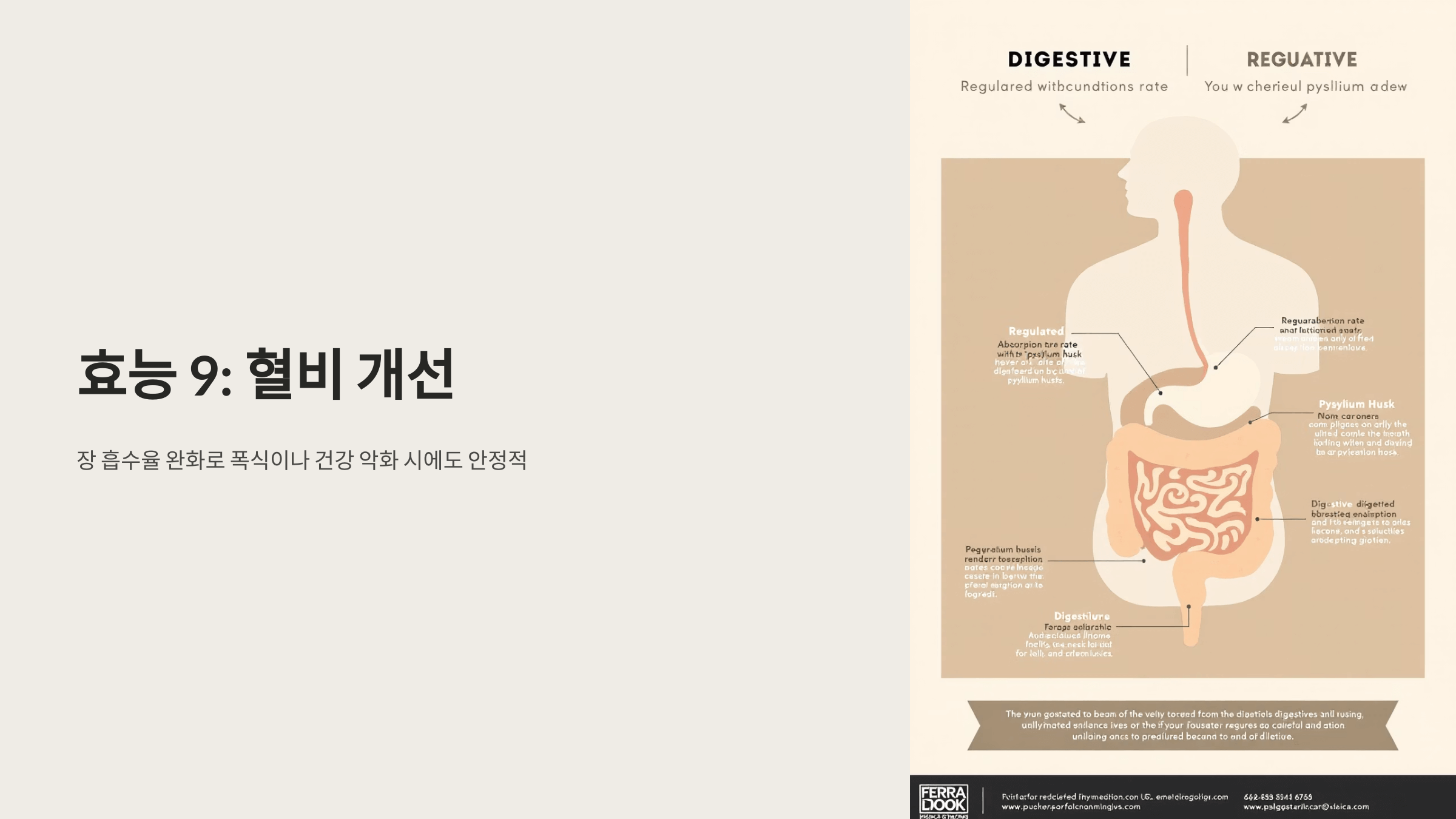 차전자피 사진입니다.