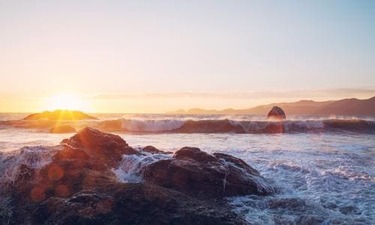 감기에 좋은 한방차 내가 직접 모아본 정보 알아보기