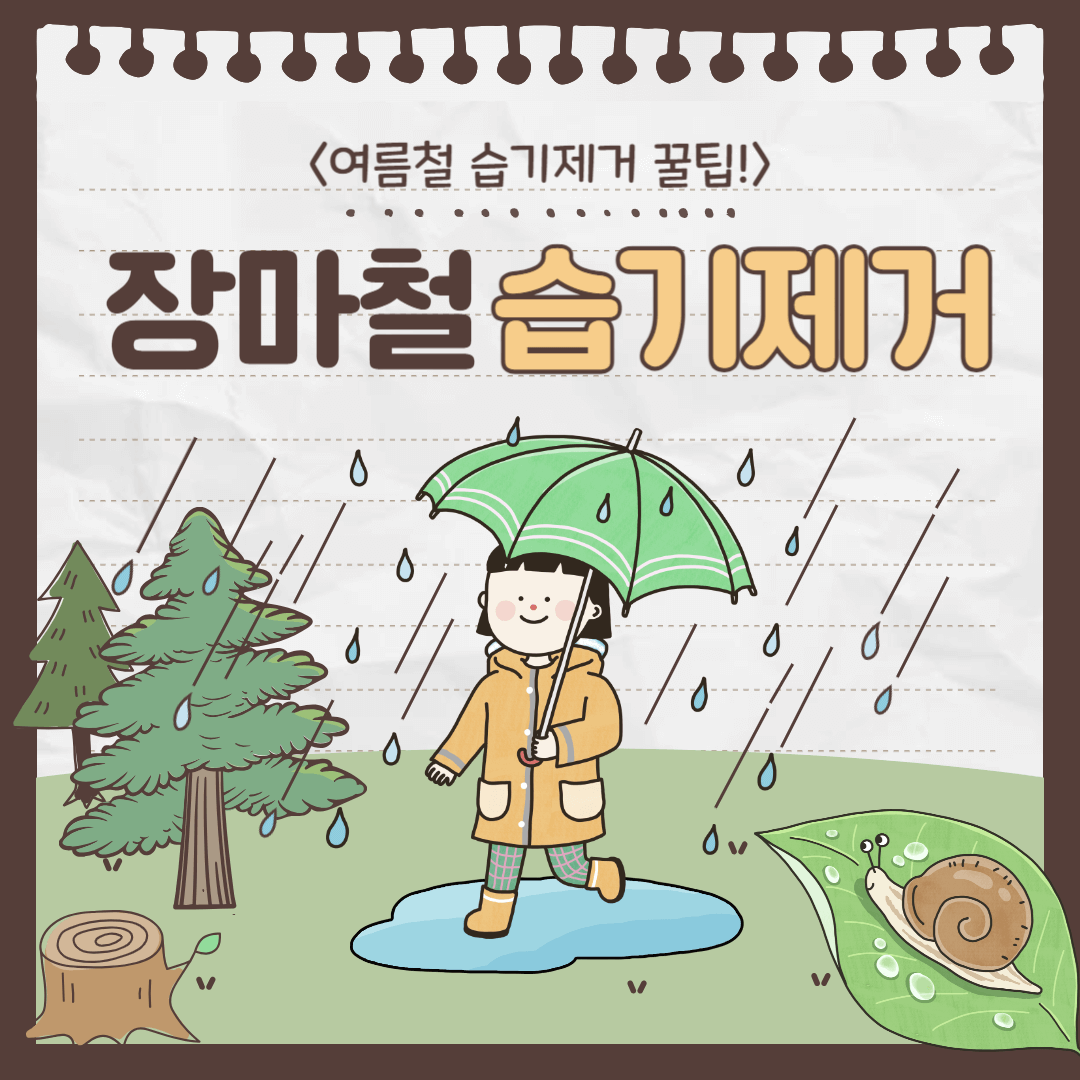 장마철 습기제거 방법과 여름철 습기제거 꿀팁