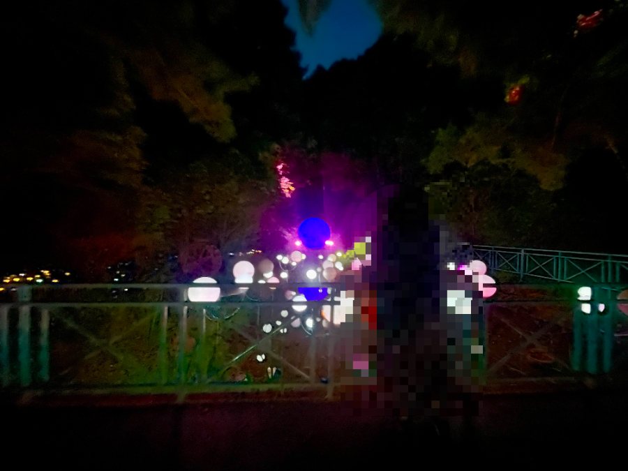 달빛의 안단테 감상4