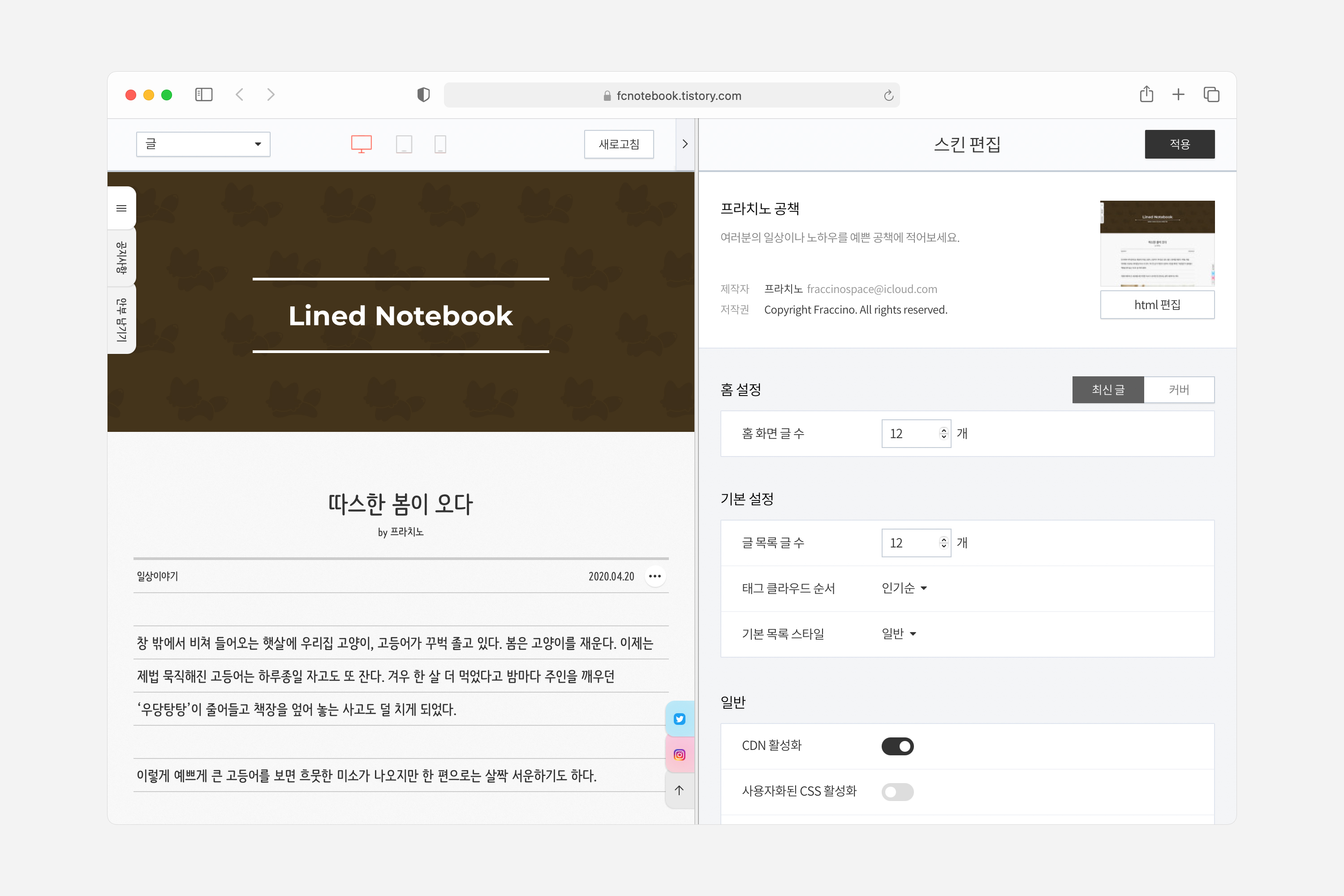 스킨 옵션