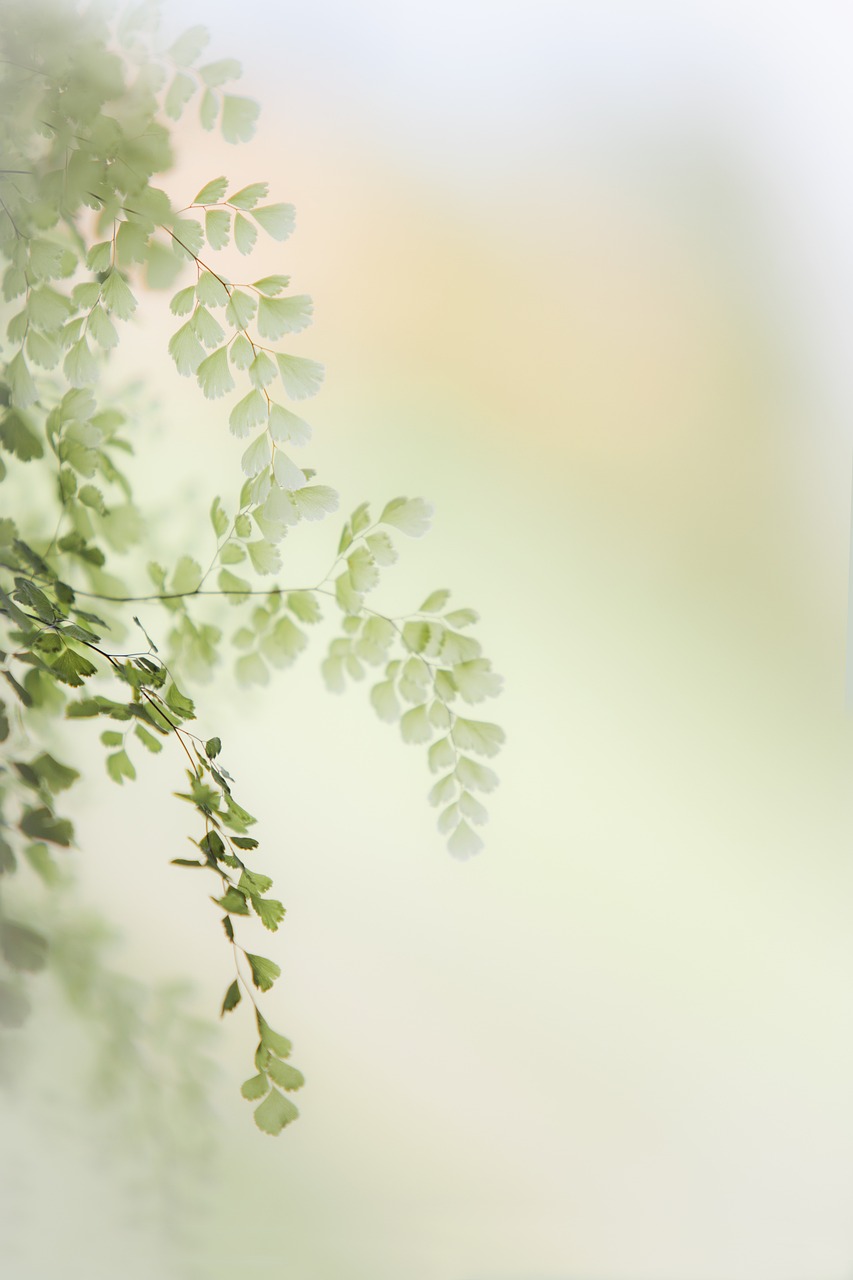 마음을 다스리는 인문학의 교훈