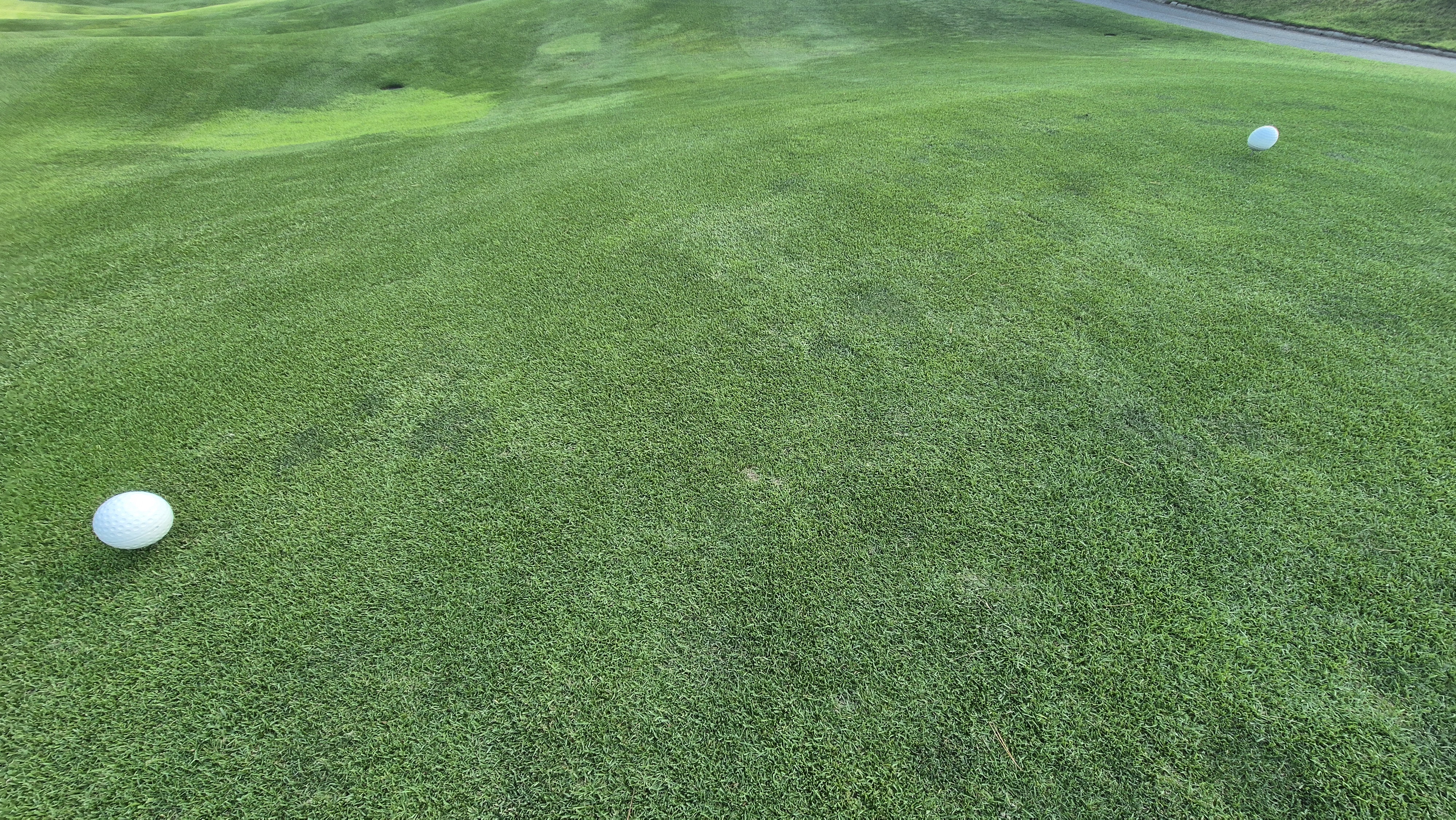 오너스gc 라운드 후기