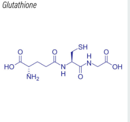 글루타치온 효능, 부작용, 많이든 음식 총정리 (2025ver)
