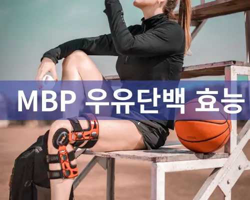 MBP 우유 단백질 복용방법 및 부작용 TIP3