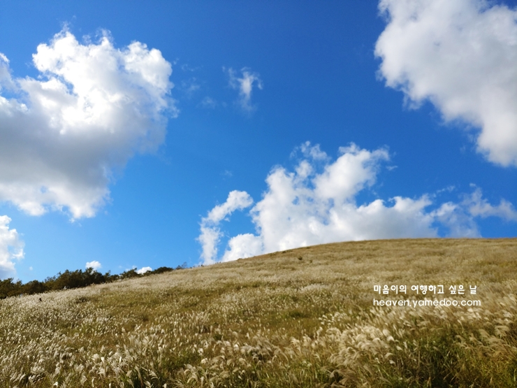 제주도 가볼만한곳 10곳