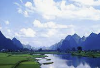 ESFP 유형 특징 분석