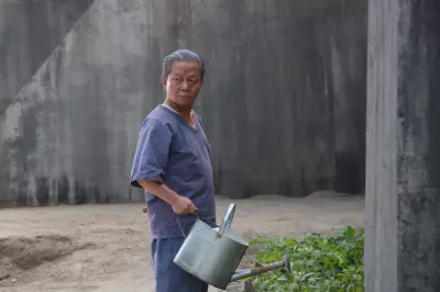 조작된 도시