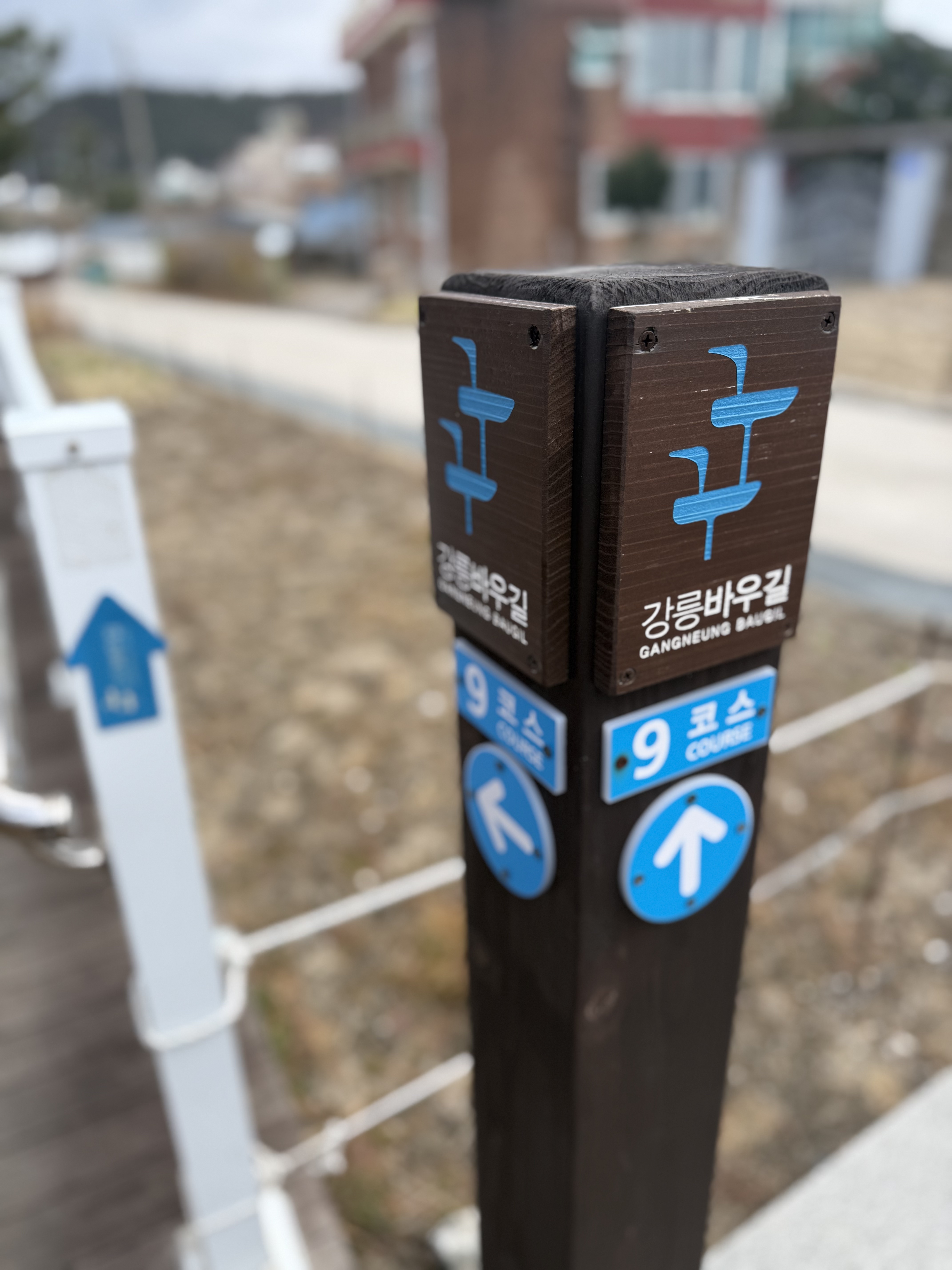 정동진