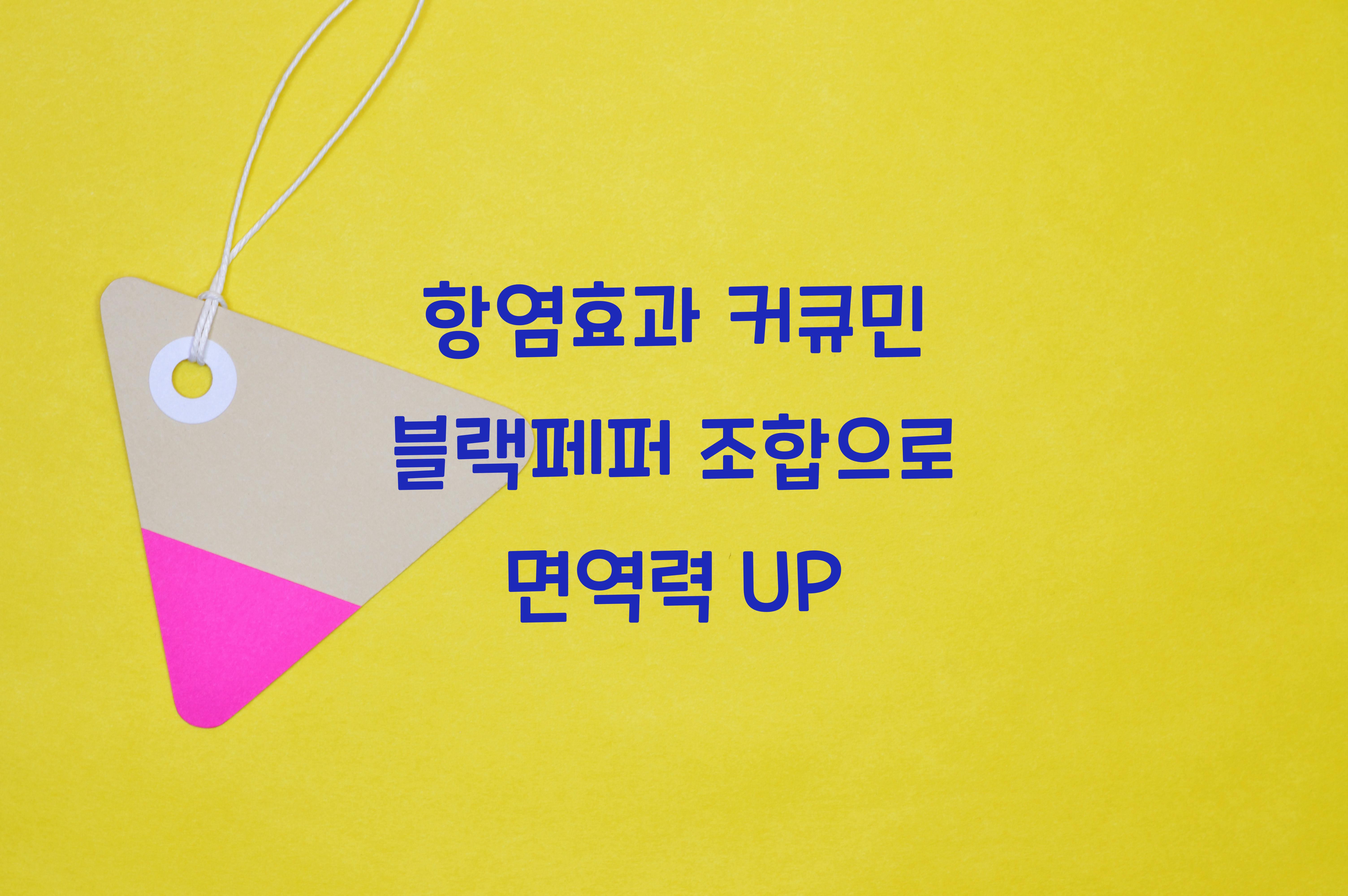 항염효과 커큐민 블랙페퍼