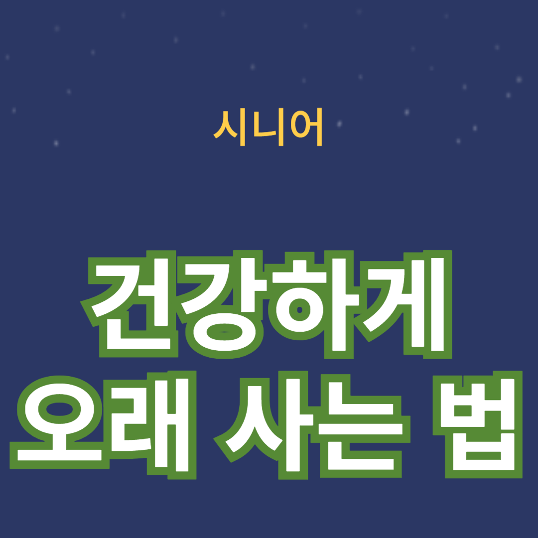 노년을 위한 시니어 헬스케어 가이드: 건강하게 오래 사는 법