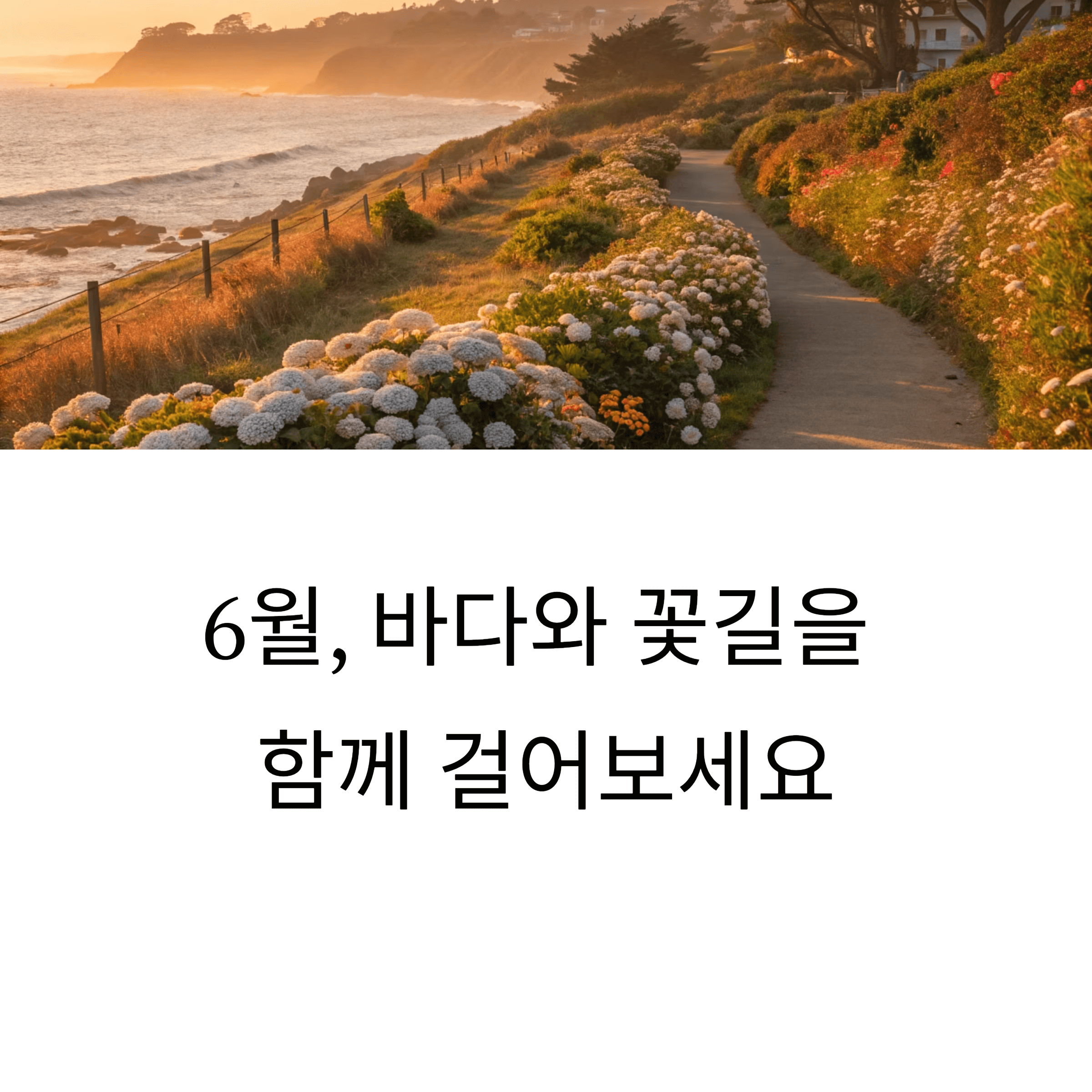 바닷가 꽃길 산책로 전경