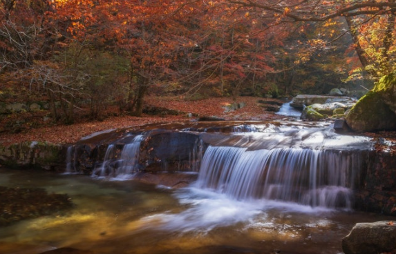 인제 방태산 단풍여행 📍 2025 단풍 절정 시기·등산 코스·주차 꿀팁 총정리