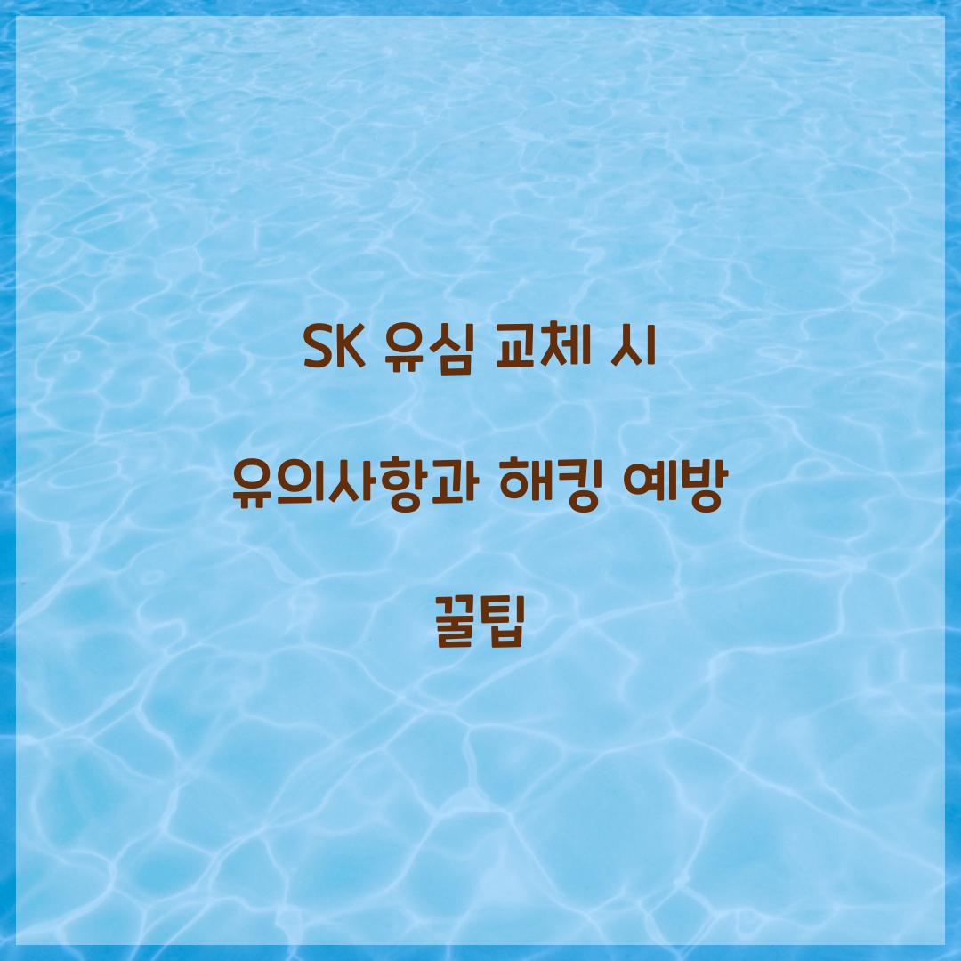 SK 유심 교체