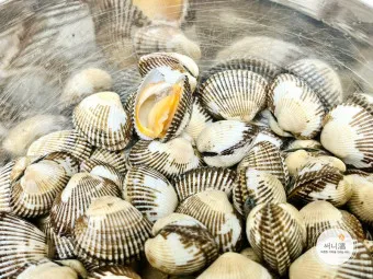 꼬막 무침 맛있게 삶는법_9