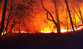 의성 산불재해현장-소방헬기-산불