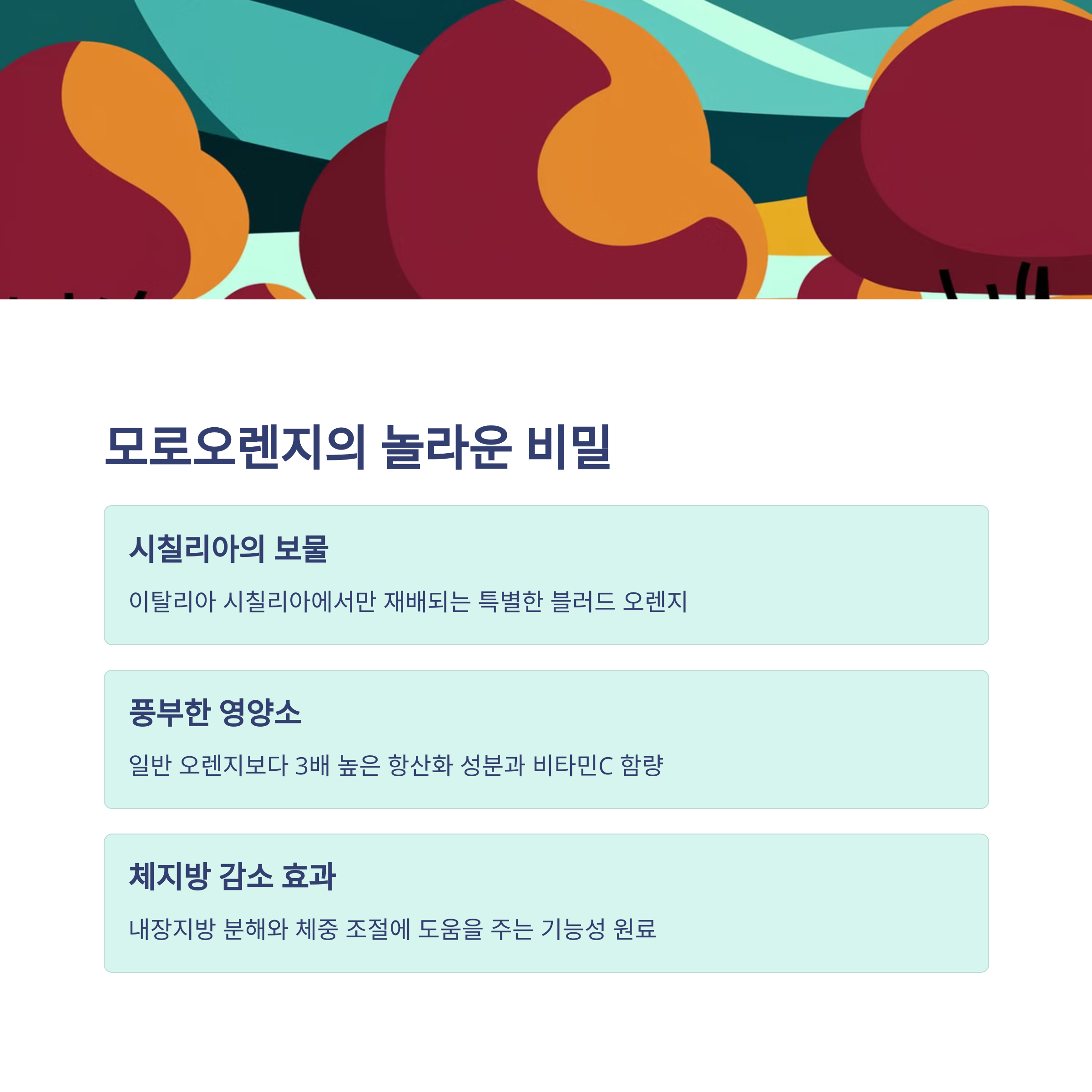 여에스더 모로실 다이어트 모로오렌지 추출분말