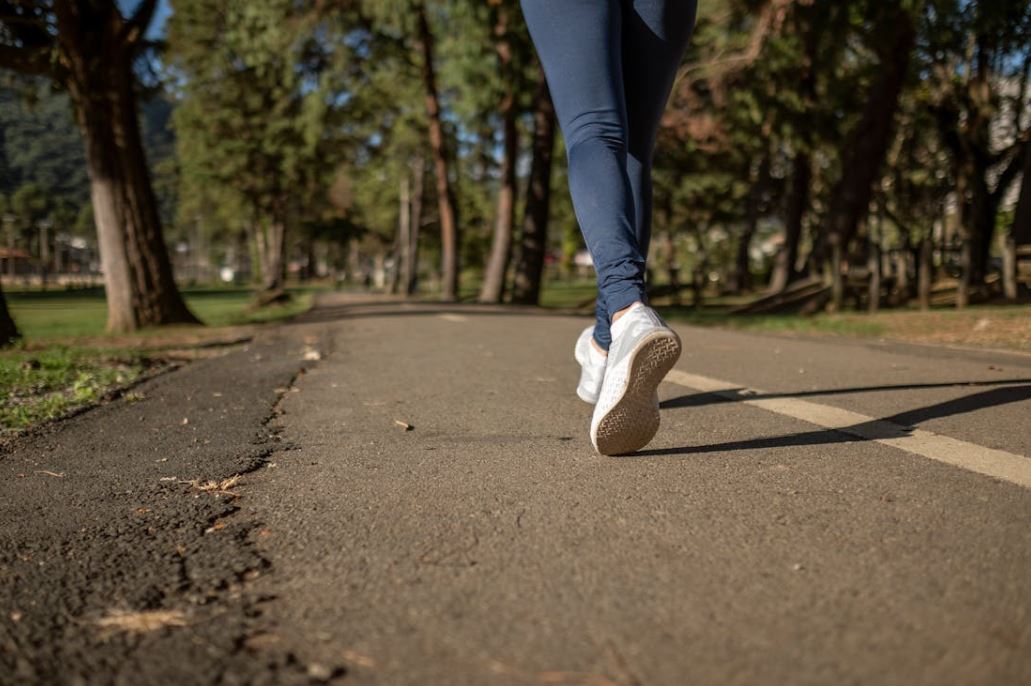 bmi 정상범위 지수 의미