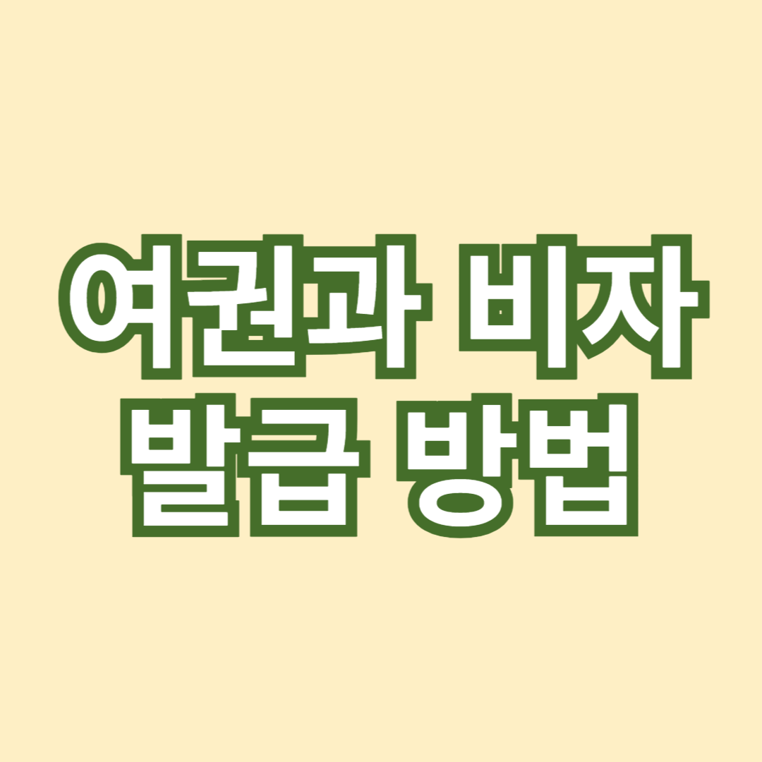 해외 여행을 위한 여권과 비자 발급 방법