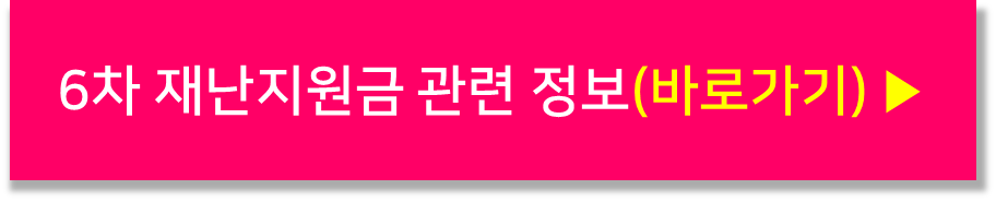 6차-재난지원금