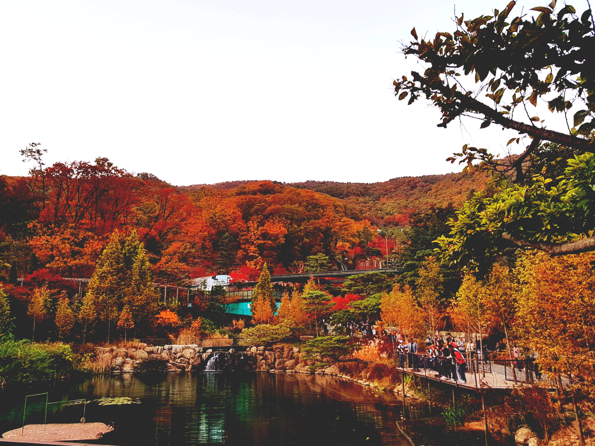 2024 경기도 광주 곤지암 화담숲 예약: 단풍 시기, 모노레일 장단점, 이용 팁