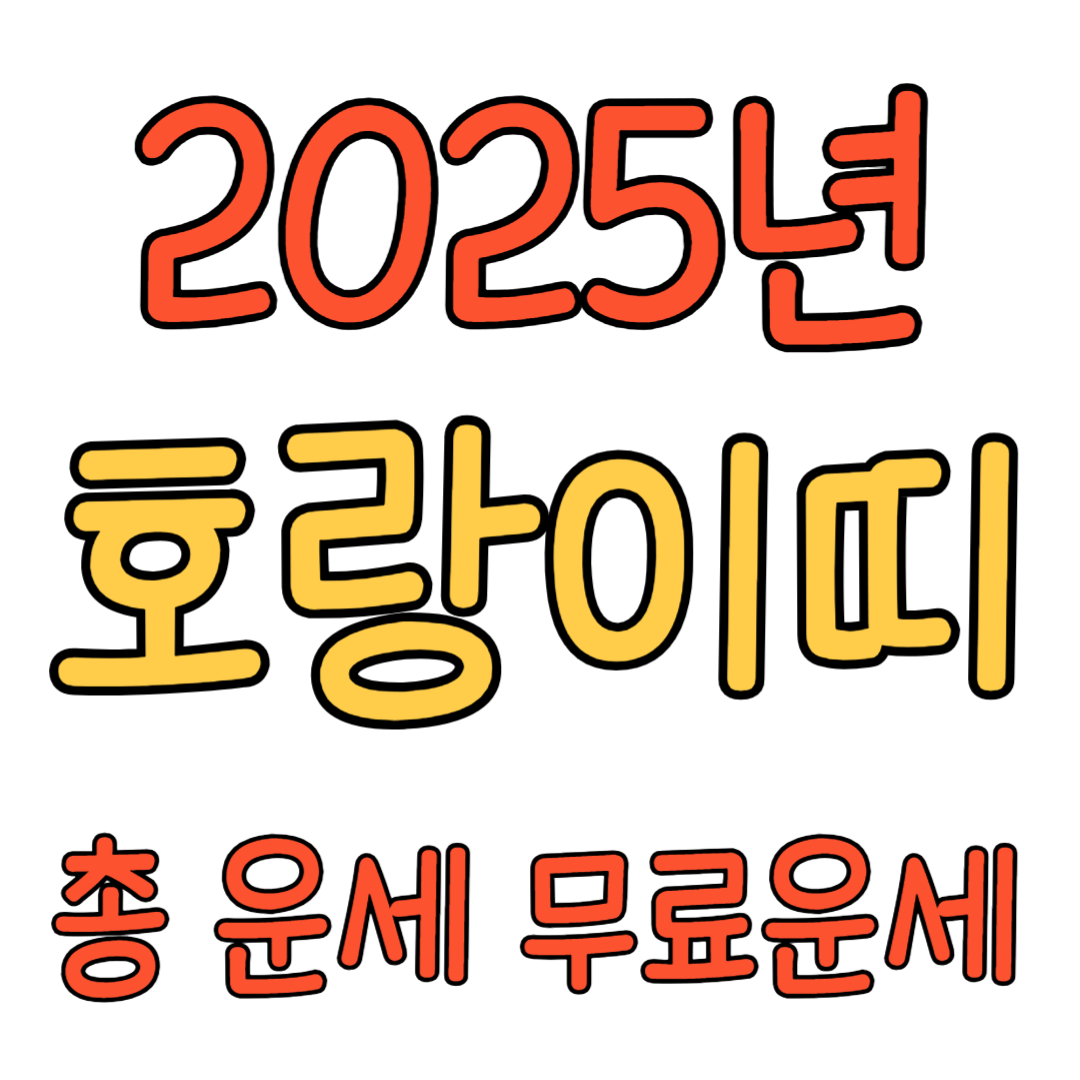 2025년 호랑이띠