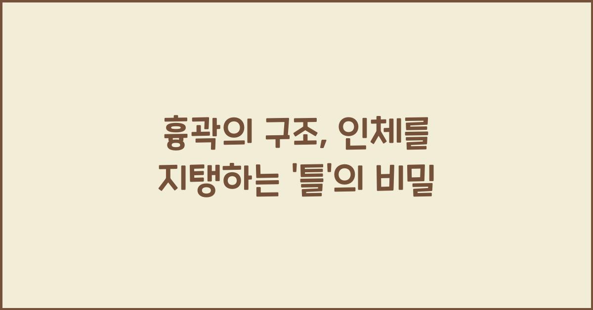 흉곽의 구조