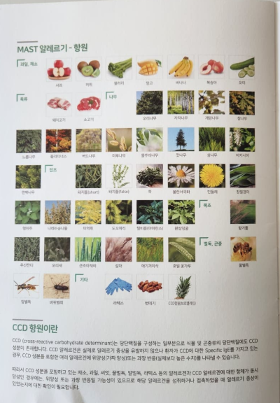 알레르기 검사 항목