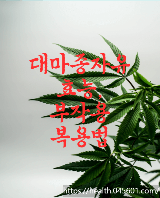대마종자유 효능, 부작용 복용법