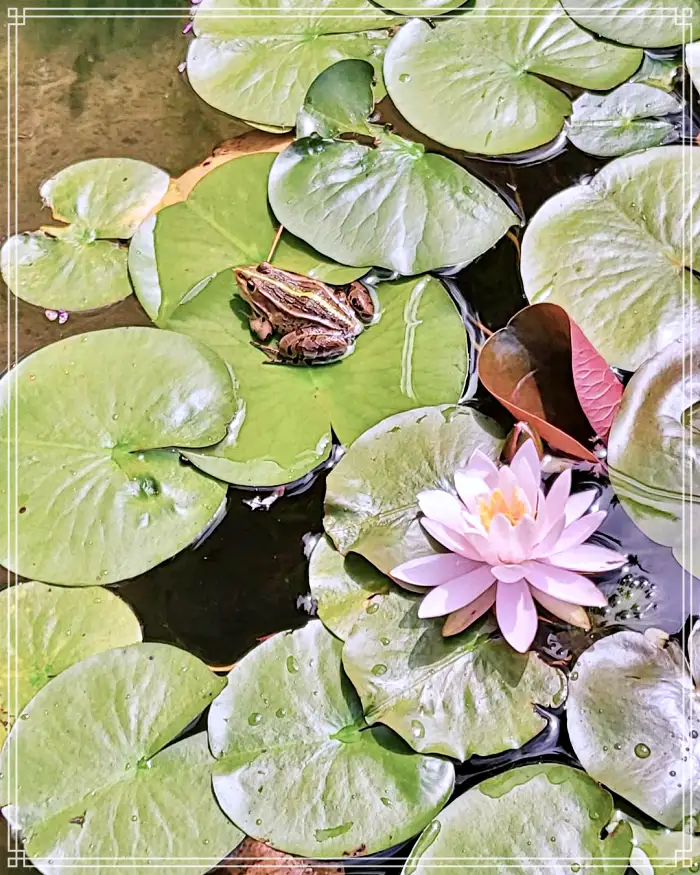 생방송 오늘저녁 경남 산청 지리산 힐링 티테라피 약초차 맛집