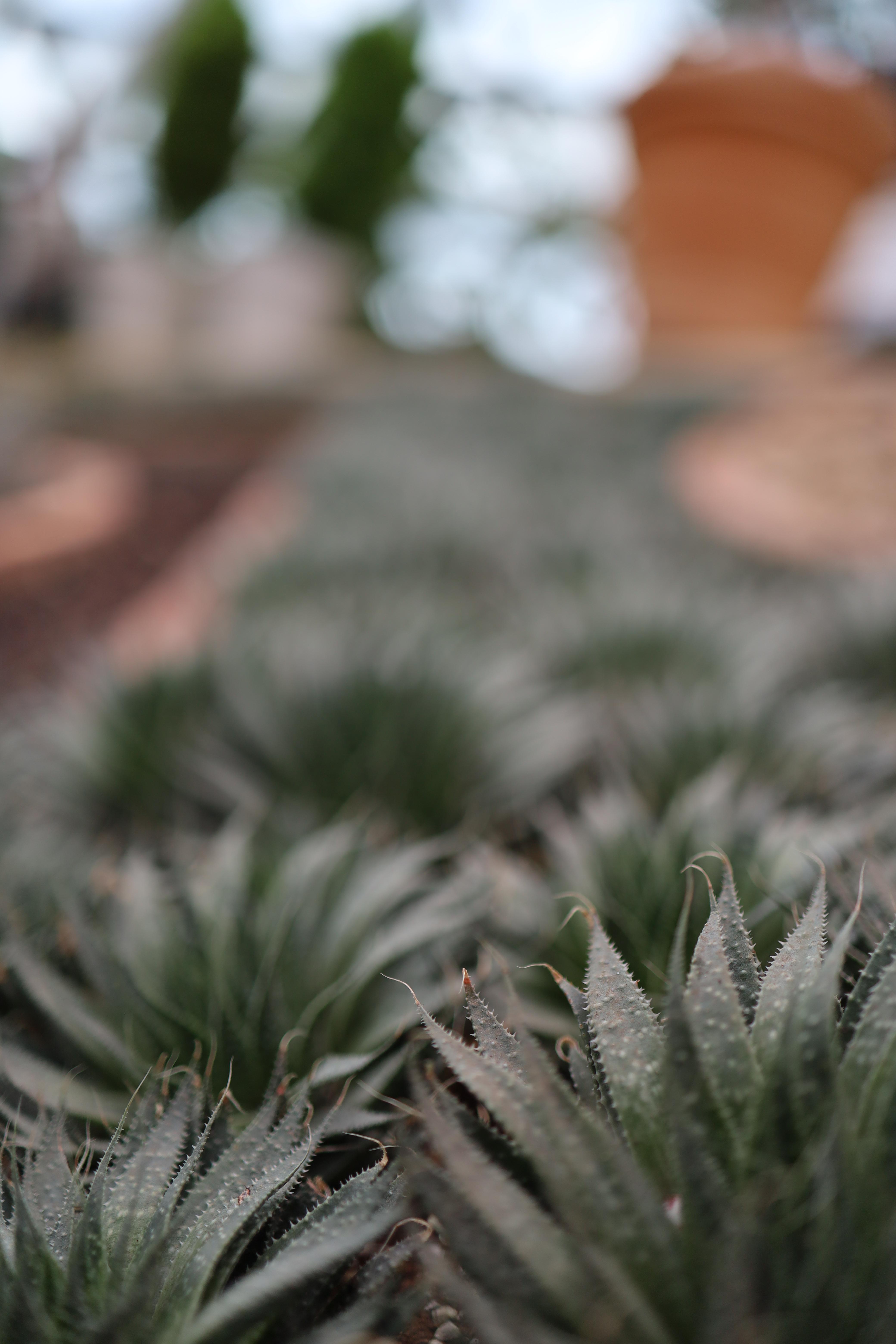 마우스 우클릭, 다른 이름으로 사진 저장 img |무료 이미지 다운로드