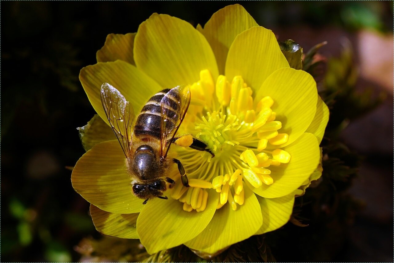 은행 적금 이자 높은곳