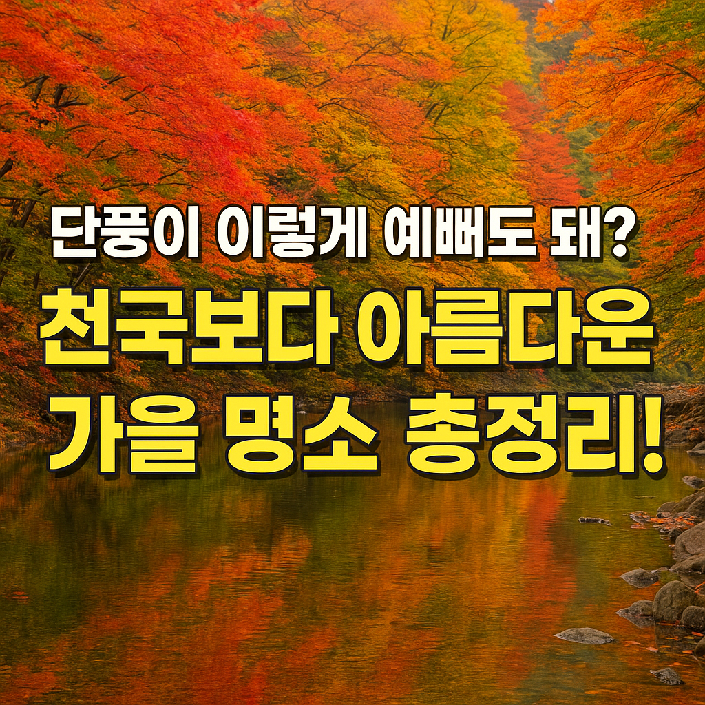단풍이 이렇게 예뻐도 돼? 천국보다 아름다운 가을 명소 총정리!