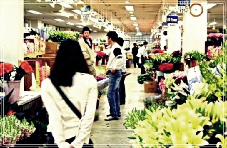 총명탕 요리 만들기: 쉽고 맛있는 레시피 공유