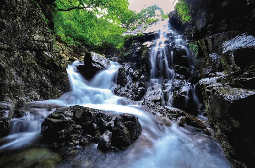 광양시 어치계곡