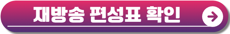 굿파트너 재방송