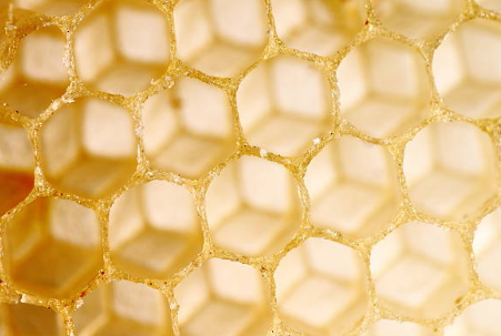 프로폴리스 효능, 부작용, 복용법 총정리 (2024ver)