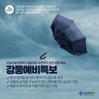강풍 예비특보 낙과 낙하물 창문 고정 집안 대비법_4