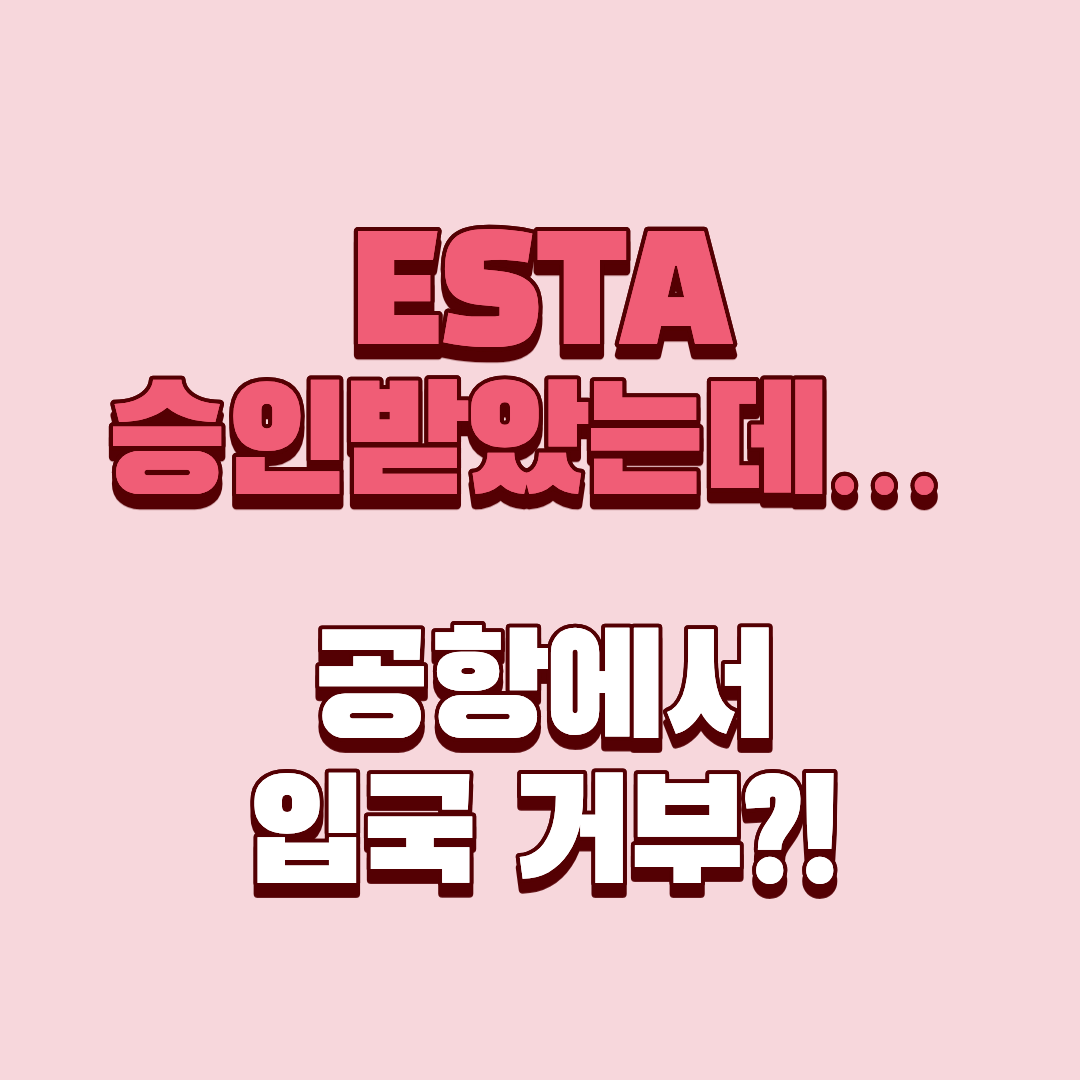 ESTA 입국 거부 사례