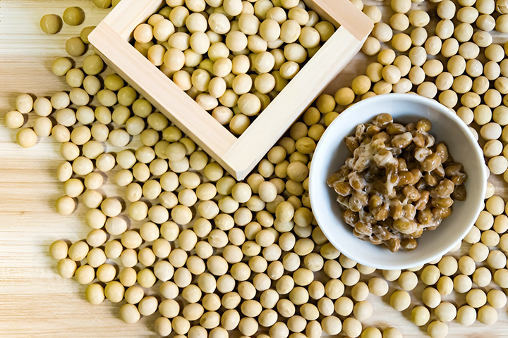 낫또와-콩의-모습