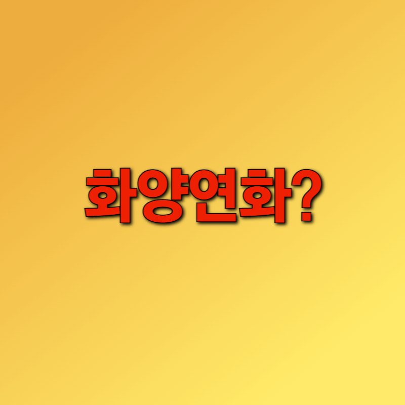 화양연화란?