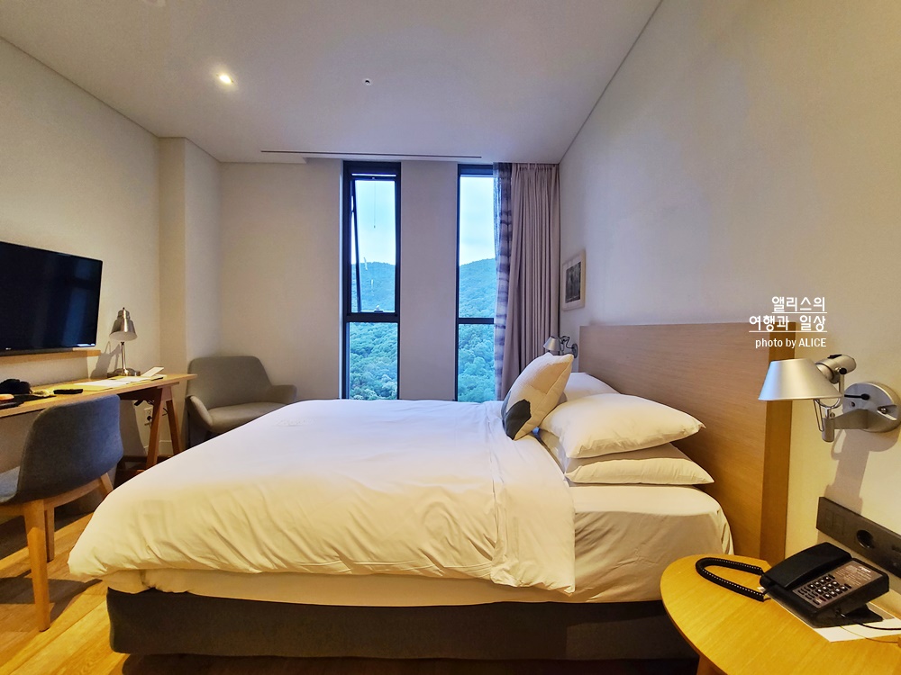 라까사호텔 광명 스탠다드 더블룸 후기, 가성비 좋은 아늑한 호텔, 숲뷰