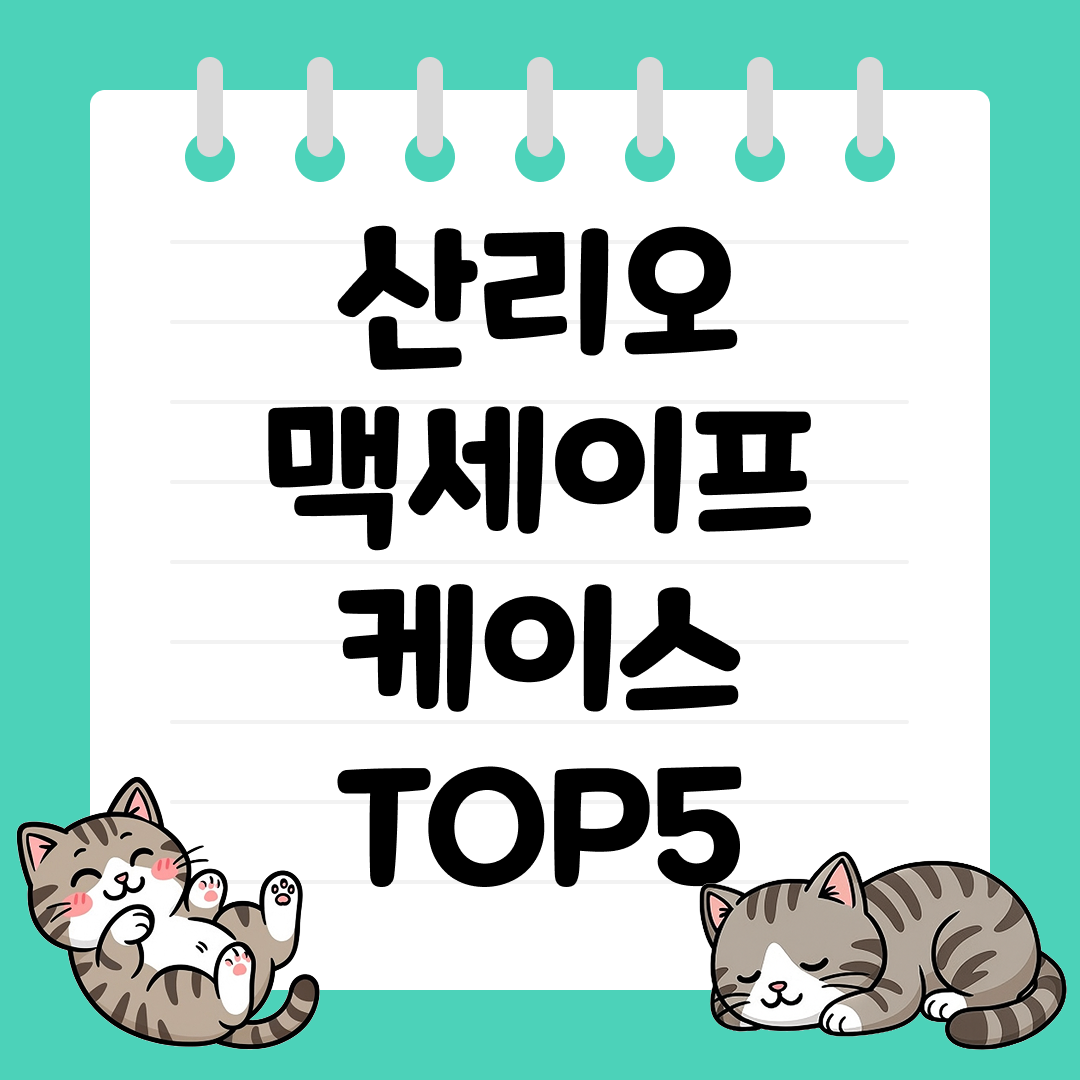 아이폰 유저를 위한 산리오 맥세이프 케이스 추천 순위 TOP5