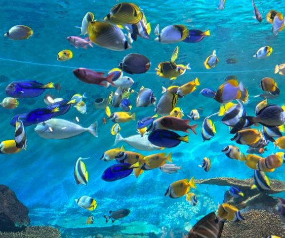 서울 실내 가볼만한곳 베스트10