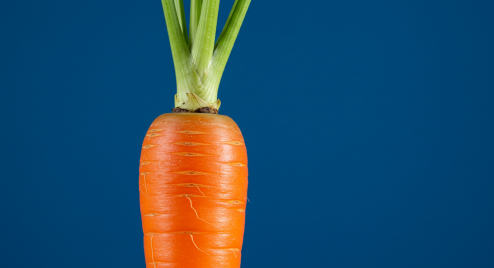 당근(Carrot)