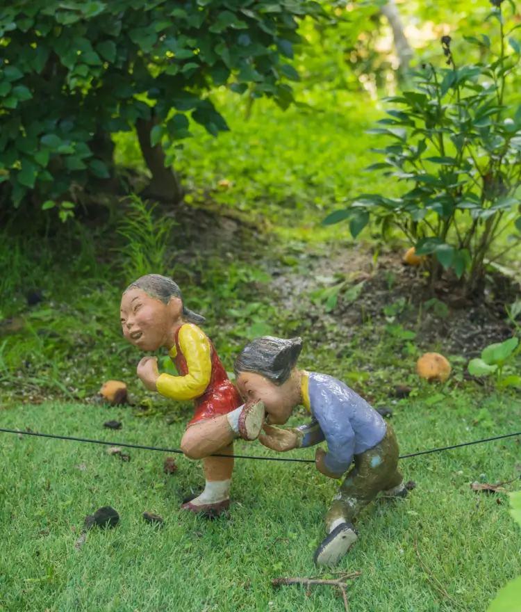 화담숲이끼숲-추억의정원