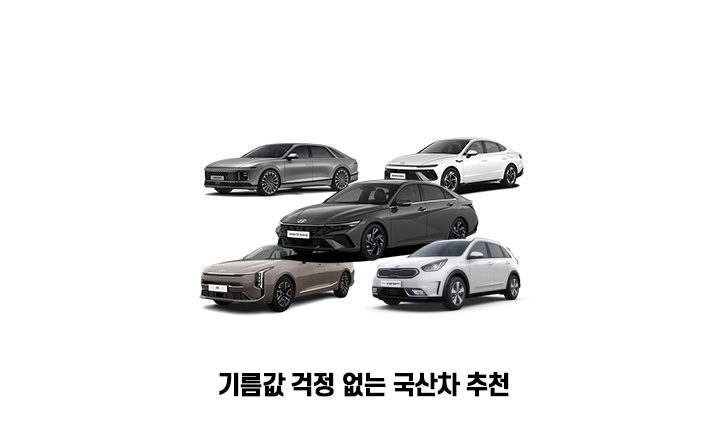 기름값 걱정 없는 국산차 추천 이미지