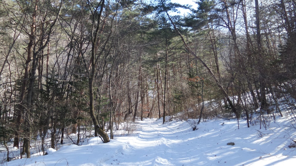 100대 명산 등산하기 평창 계방산(桂芳山, 1,577m) 설악·오대산과 함께 강원도 고산지대의 대표 명산